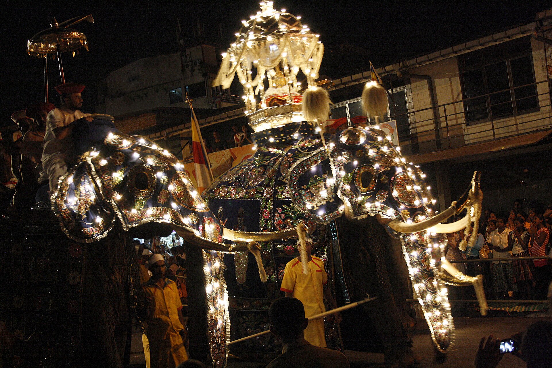 Kandy Esala Perahera: Sri Lanka’s Grandest Festival, Night by Night