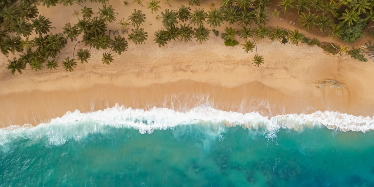 East Coast Escapes