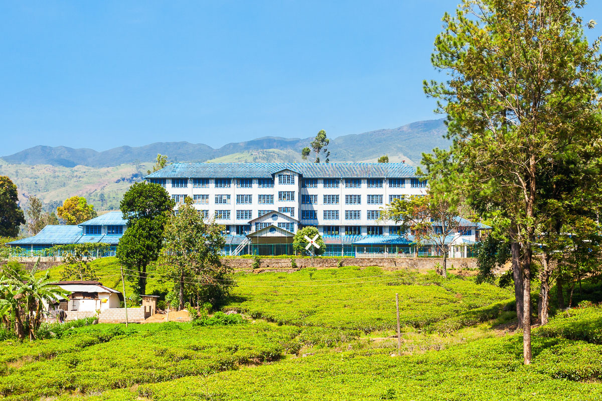 Experience Life in a Tea Estate Bungalow