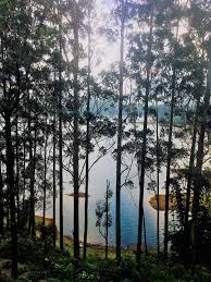 Hill Country Retreats
