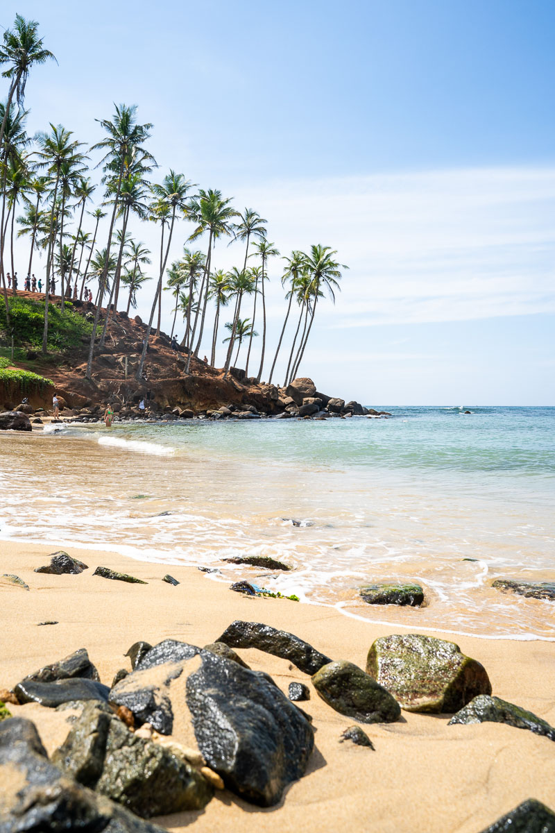 South Coast Beaches