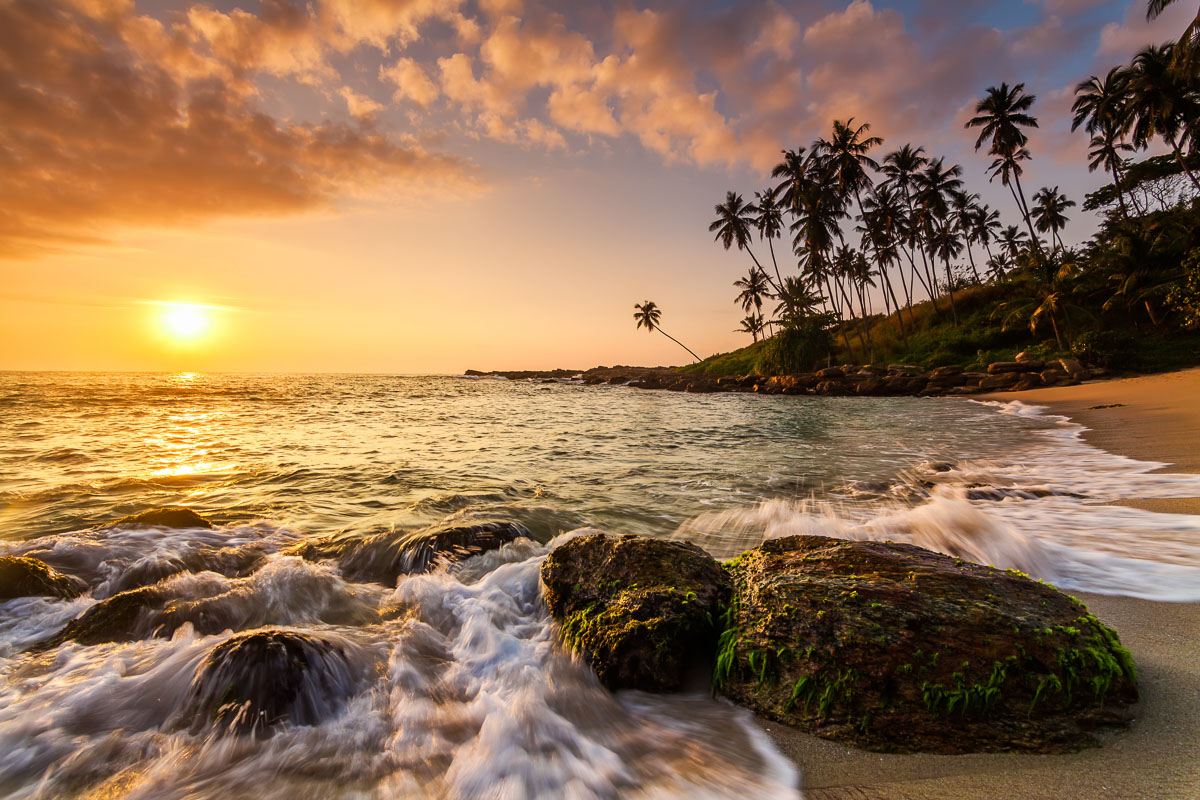 South Coast Beaches