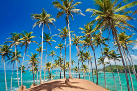 South Coast Beaches
