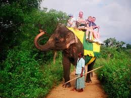 Village and Cultural Immersions
