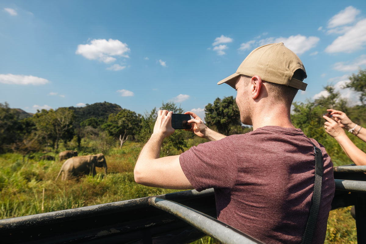 Wildlife Safaris