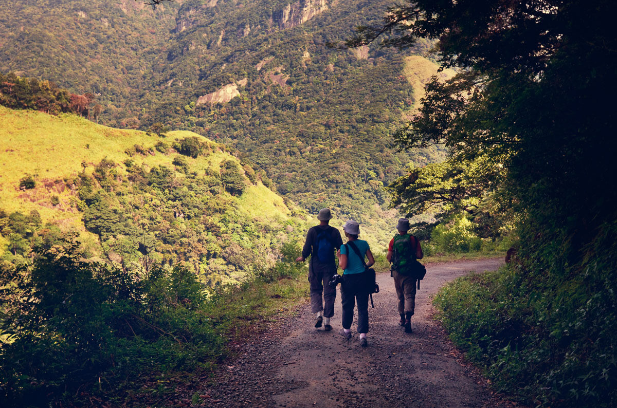 Wild Eco Adventure